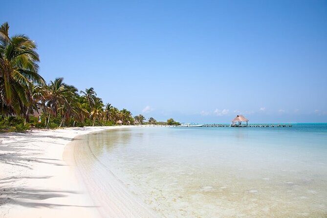 Explore Contoy Island - The 55-foot boat ride and the snorkeling rhythm