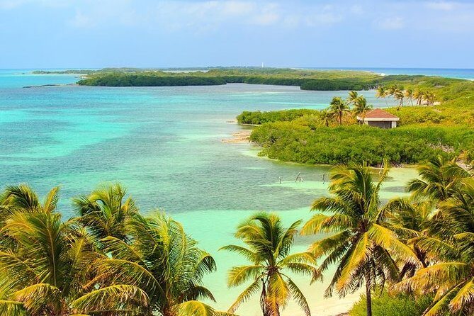 Explore Contoy Island - What to pack and what you’ll pay in cash