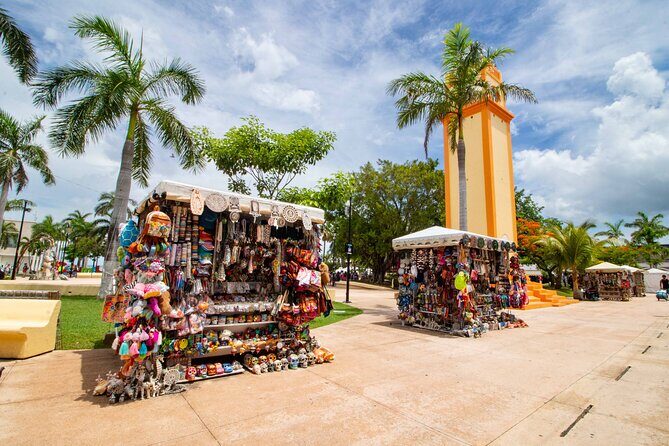 Explore Cozumel your Way Private Island Tour with Pro Guide - Why the private setup matters more than you’d think