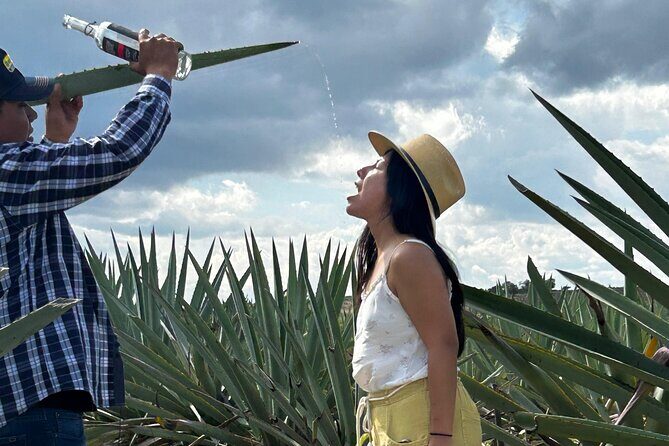 Explore Hierve el Agua, Mitla, Tule, Textile and Mezcal for a day - Price and logistics: what’s covered, what you’ll likely pay extra