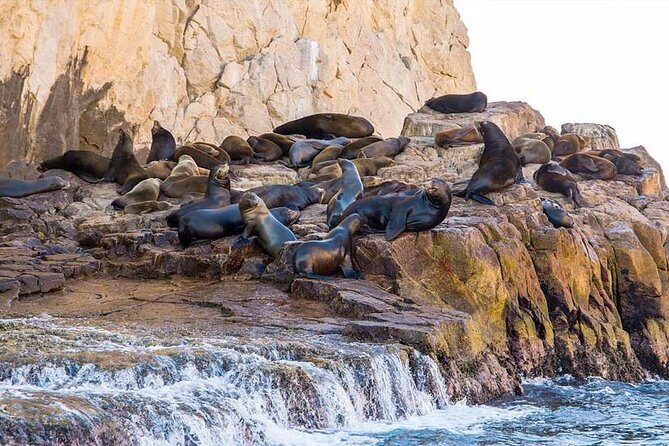 Explore Los Cabos City Tour, Glass-Bottom Boat Ride, Lunch and Shopping! - Land’s End scenery: what you’re really seeing from the water