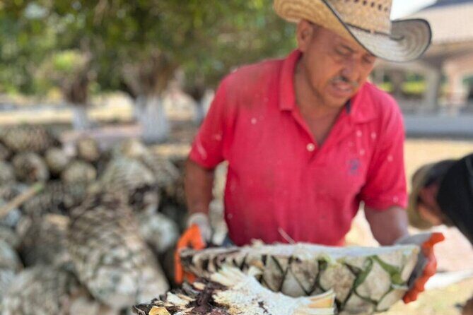Finca 18 Puerto Vallarta Tequila Tour + Chocolate Pairing - What you’ll see on the estate: agave fields and the nursery stage
