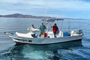 Fishing Day with Local Fishermen in Loreto - BAJA MIA SUITES meeting point and the 7:00 am reality check