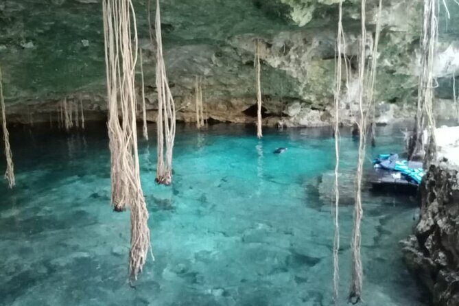 Five Cenotes Jungle Experience in the Riviera Maya - Price and Logistics: What You’re Really Paying For