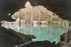 Five Cenotes Jungle Experience in the Riviera Maya - Meeting Point and Timing: Starting at Los Bisquets Obregon