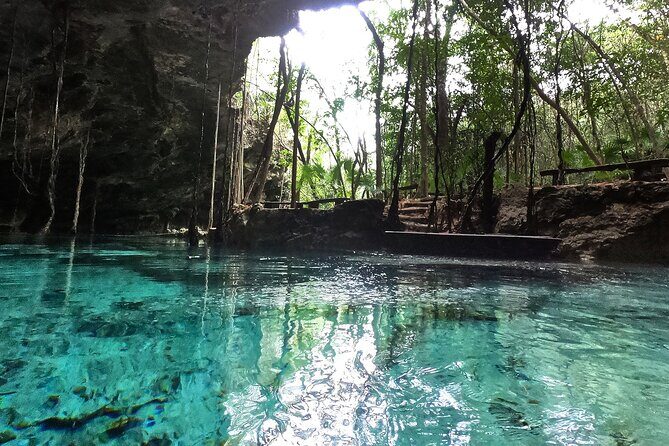 Five Cenotes Jungle Experience in the Riviera Maya - The Guide Factor: Why Names Like Fabio, Alberto, Roy, and Lev Keep Coming Up