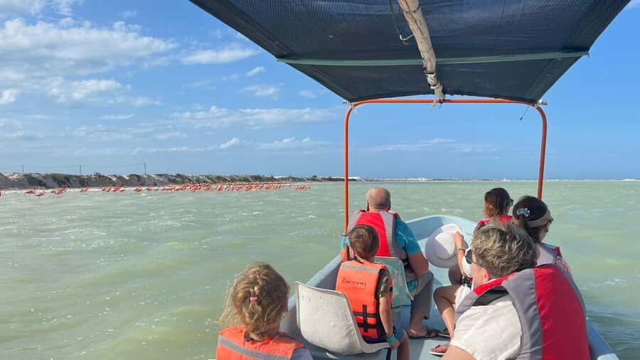 flamingo tour in Rio Lagartos, Yucatan 3 hours - Key reasons this flamingo boat tour works so well