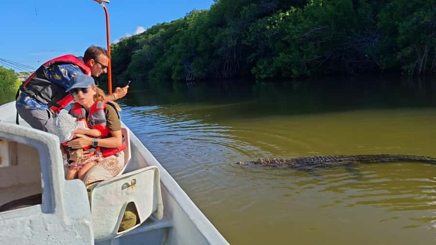 flamingo tour in Rio Lagartos, Yucatan 3 hours - A simple 3-hour flow: photo stop, estuary cruise, rinse-and-swim