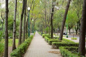 Foodie Tour in Polanco: Mexico Culinary roots! - What’s included: tastings, drinks, and the museum context