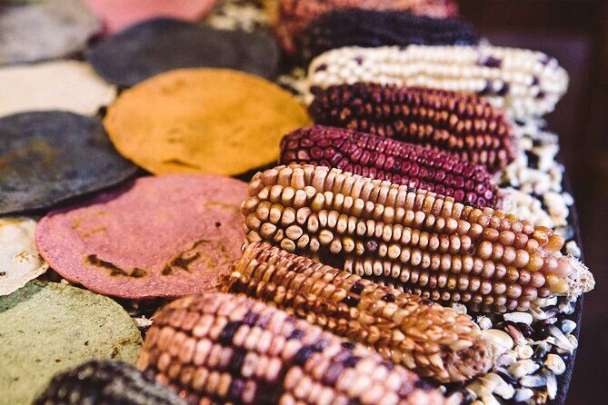 Foodie Tour in Polanco: Mexico Culinary roots! - Who this tour fits best