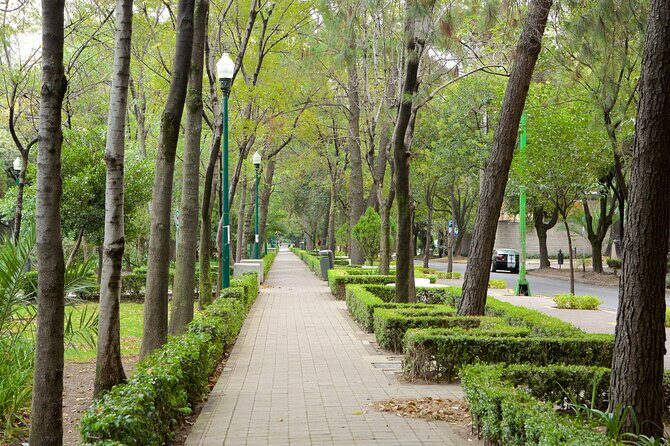 Foodie Tour in Polanco: Mexico Culinary roots! - What’s included: tastings, drinks, and the museum context