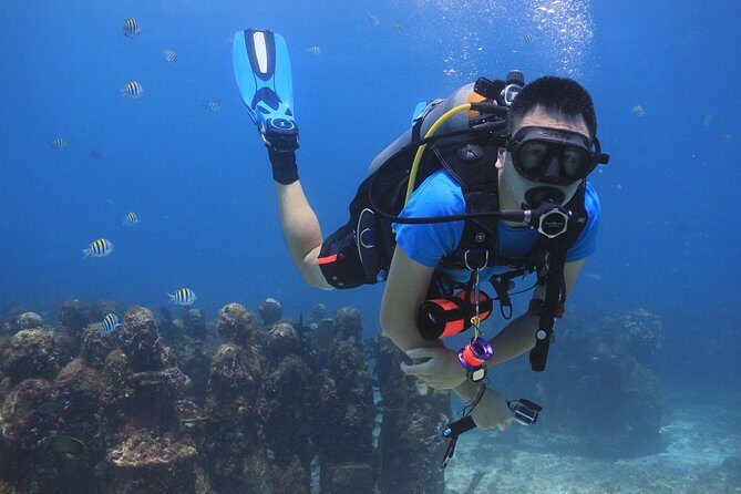 For certified Divers Experience the Under Water Museum and the Manchones Reef - First stop: the Underwater Museum (art with bubbles) and the $20 museum fee