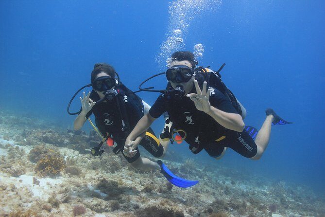 For certified Divers Experience the Under Water Museum and the Manchones Reef - Who should book this combo (and who might rethink it)