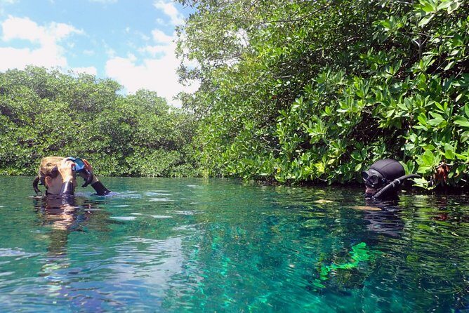 Freediving Intro for Beginners in a Cenote in Tulum Mexico - Price and value: is $214.94 worth it?