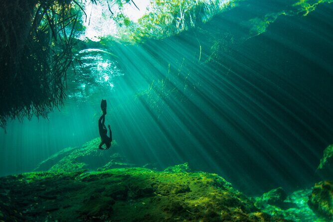 Freediving Intro for Beginners in a Cenote in Tulum Mexico - Who should book this cenote breath-hold intro