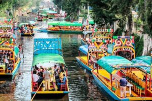 Frida Kahlo's House, Coyoacan and Xochimilco - All Day Tour - Pickup, group size, and getting out the door on time