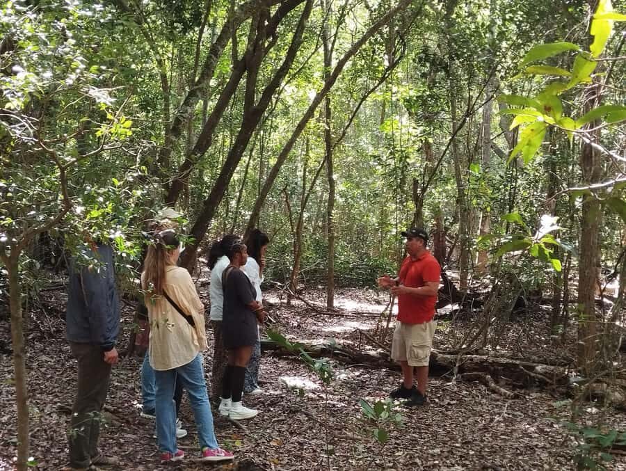 From Bacalar: Calakmul Ruins Expedition & Jungle Trek - Rules in the biosphere: drones, photos, and staying respectful