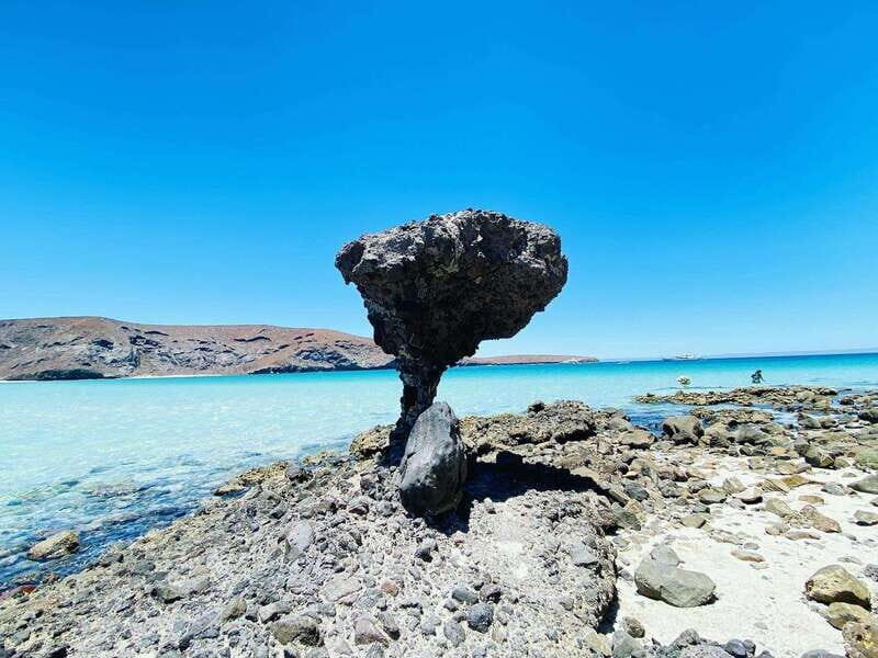 From Cabo/San José del Cabo: La Paz, Balandra & Todos Santos - Key things to know before you go
