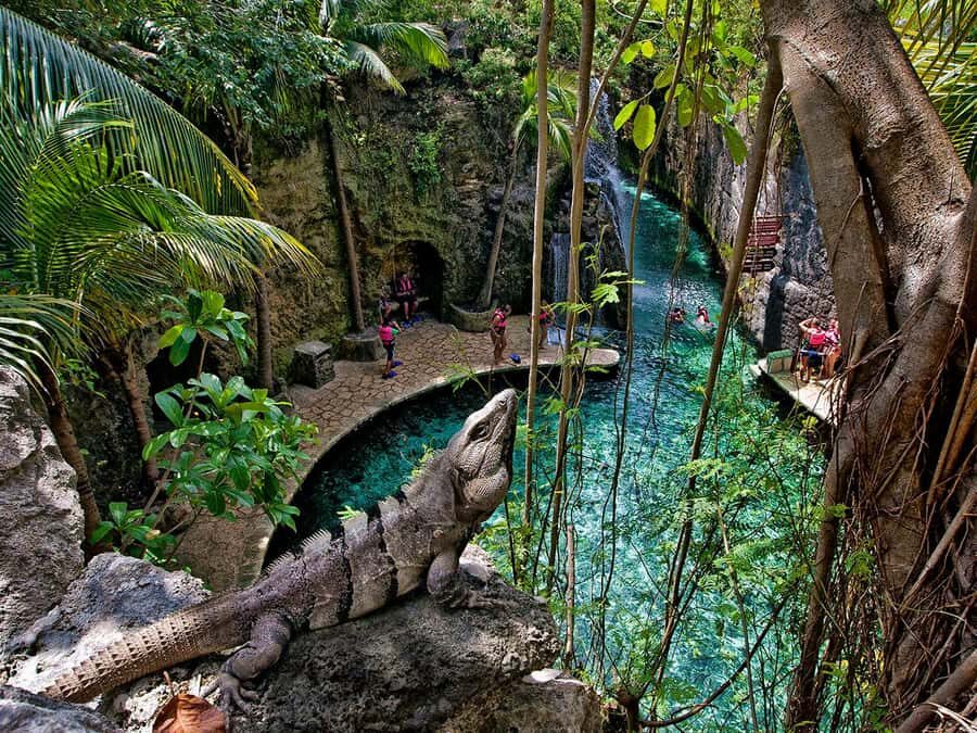 From Cancun: Complete Combo to Xcaret Park! - Your 13.5-hour pacing: how the day usually flows