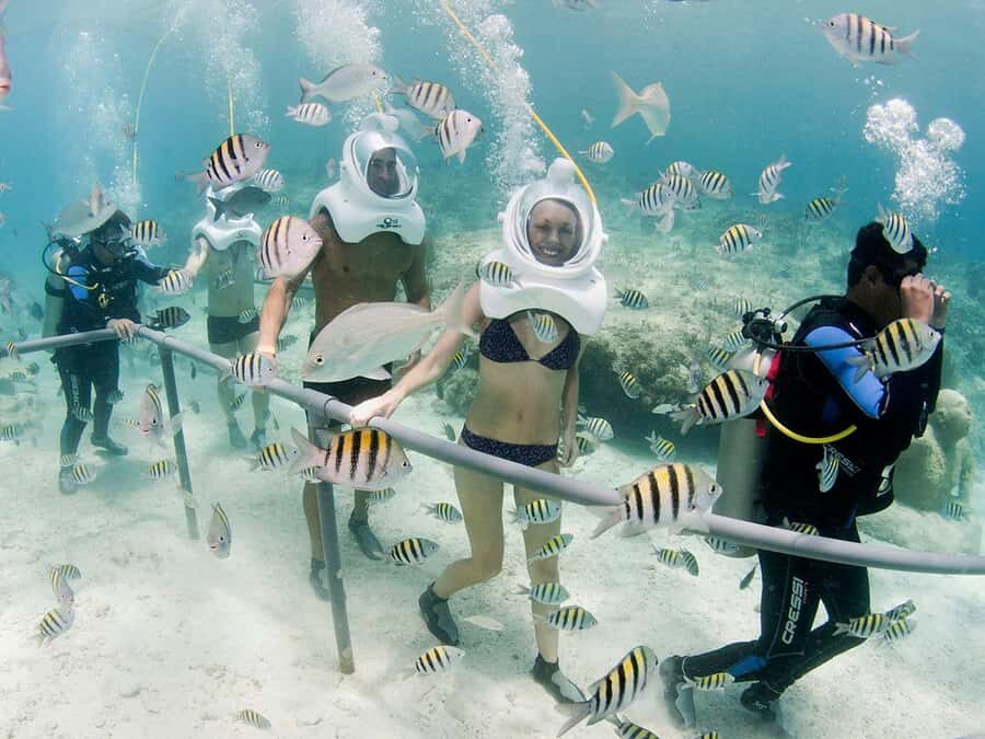 From Cancun: Complete Combo to Xcaret Park! - The underground rivers experience: what’s included and why it matters