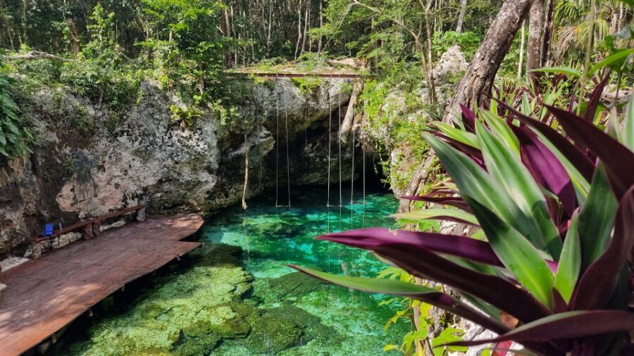 From Cancun: Day Trip to Tulum, Cenote & Playa del Carmen - Playa del Carmen on Quinta Avenida: fun walk, shopping pressure, and people-watching