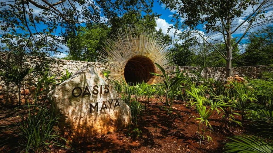 From Cancun: Ek Balam and Cenote Tour with Lunch & Transfer - Price, What’s Included, and the Admission Fees You Should Plan For