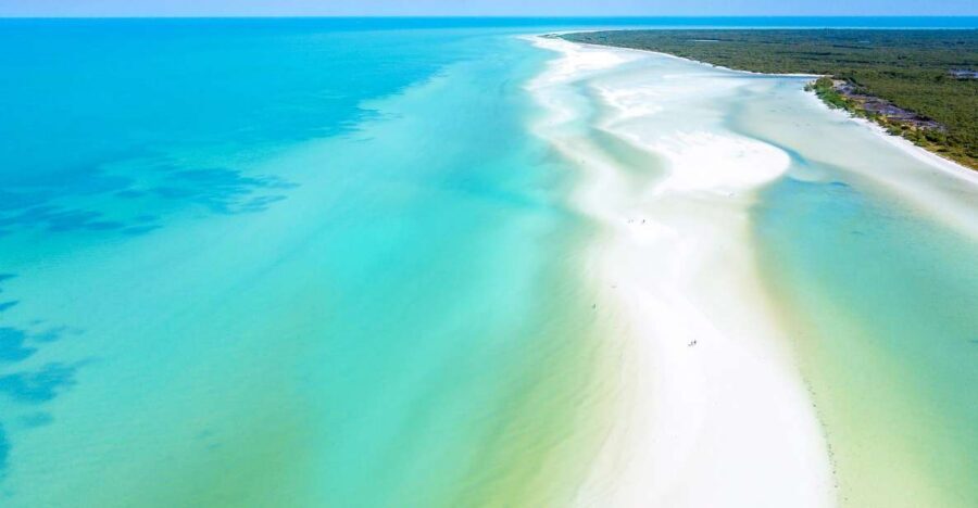 From Cancun or Puerto Morelos: Holbox Boat Tour with Lunch - Key points before you go