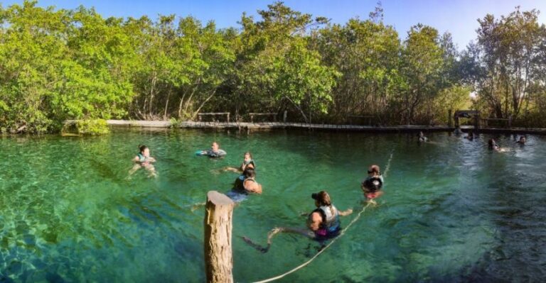 From Cancun or Puerto Morelos: Holbox Boat Tour with Lunch - Passion Island and Hoyo Negro Yalahau: the first taste of the day’s water world