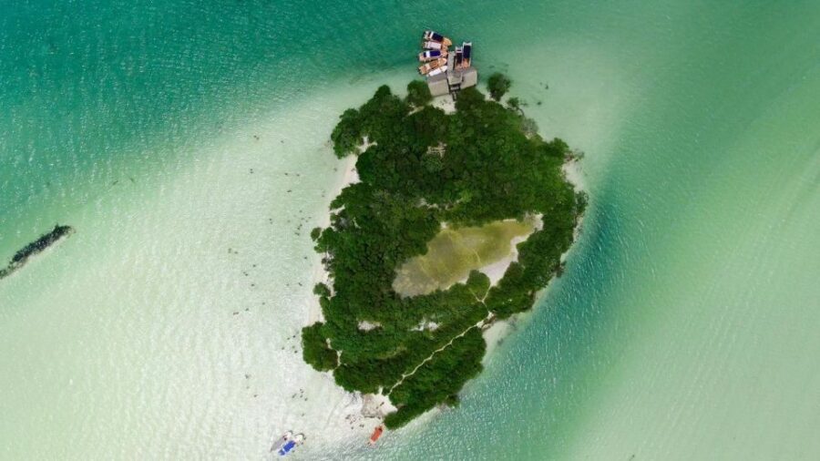 From Cancun or Puerto Morelos: Holbox Boat Tour with Lunch - Who this tour fits best (and who should skip it)