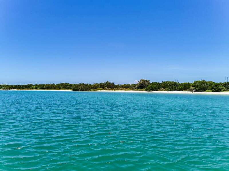 From Cancún: Rio Lagartos & Las Coloradas Day Trip & Lunch - Key takeaways before you go