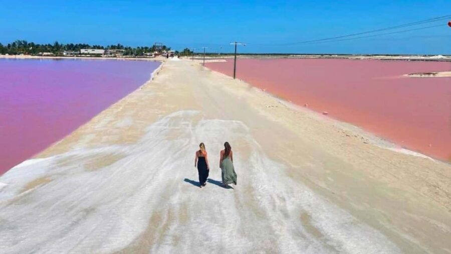 From Cancún: Rio Lagartos & Las Coloradas Day Trip & Lunch - Río Lagartos and Las Coloradas: what you’re really buying