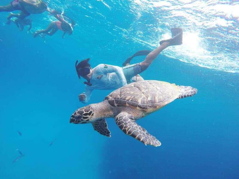 From Cozumel: 3 Reefs Boat Tour with Drinks and Snorkeling - Key things to know before you go