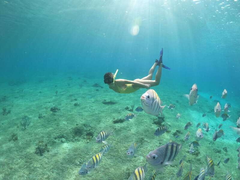 From Cozumel: 3 Reefs Boat Tour with Drinks and Snorkeling - Who should book this, and who should think twice