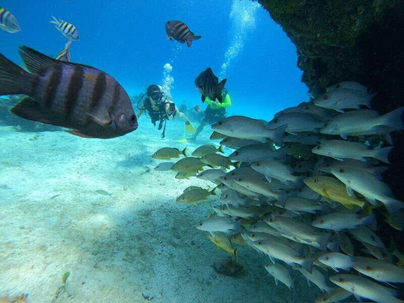 From Cozumel: Chankanaab Cozumel Scuba Diving - Getting Oriented at Chankanaab Adventure Beach Park