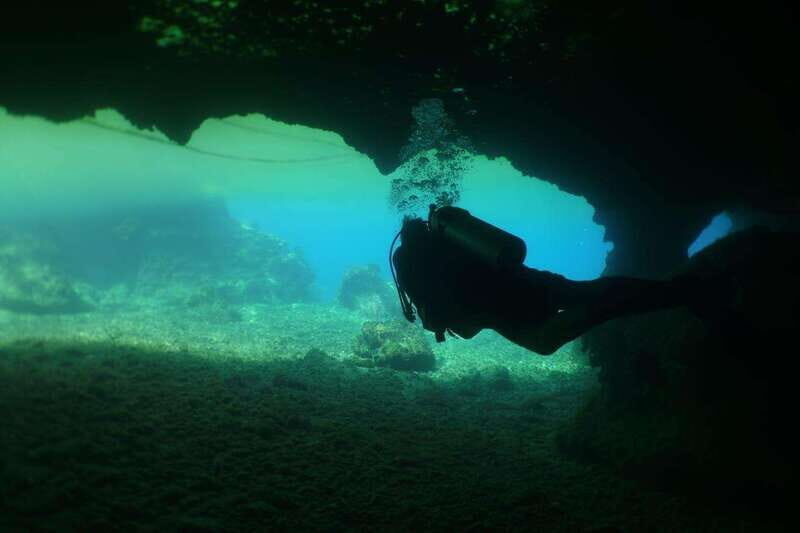 From Cozumel: Chankanaab Cozumel Scuba Diving - After-Your-Water Park Time: Sea Lion Shows and Mayan-Replica Paths