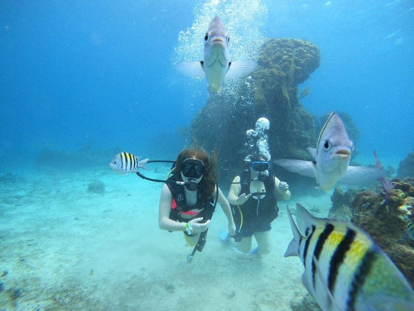 From Cozumel: Chankanaab Cozumel Scuba Diving - Who This Cozumel Underwater Experience Fits Best