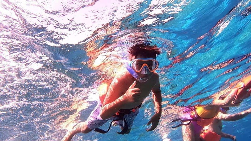 From Cozumel: Official Chankanaab Park Day Pass and Snorkel - Key Highlights Worth Your Time