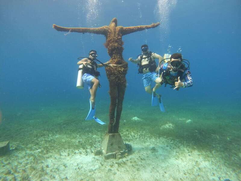 From Cozumel: Official Chankanaab Park Day Pass and Snorkel - Sea Lion Show and Beach Comfort: Why Included Amenities Matter