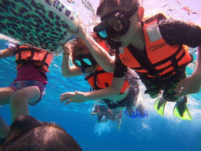 From Cozumel: Official Chankanaab Park Day Pass and Snorkel - Price and Logistics: What You Actually Pay