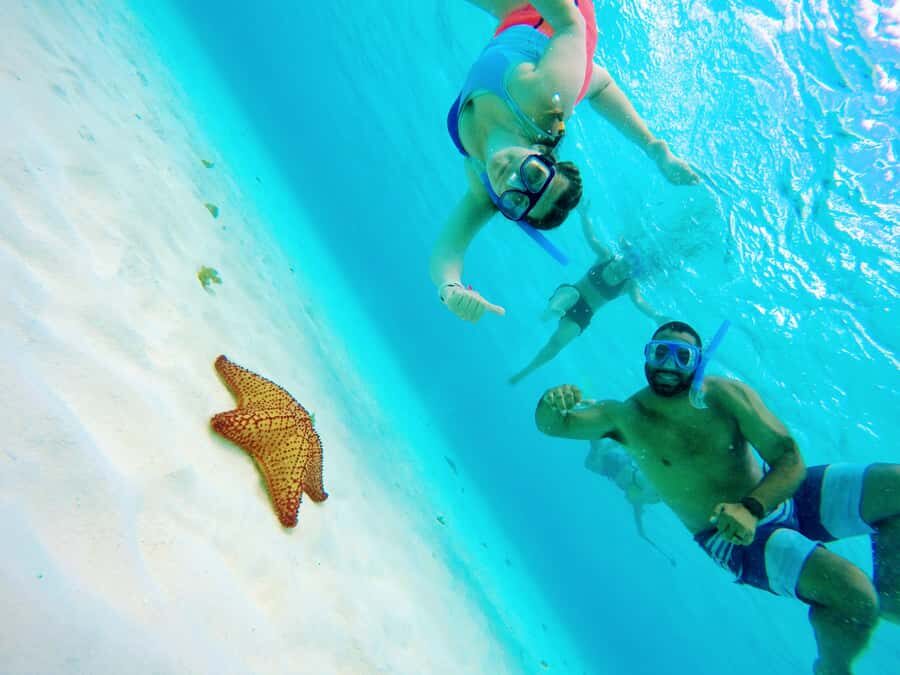 From Cozumel: Starfish, Stingrays & El Cielo Beach Snorkel - Playa El Cielito: The Shallow Stingray Moment