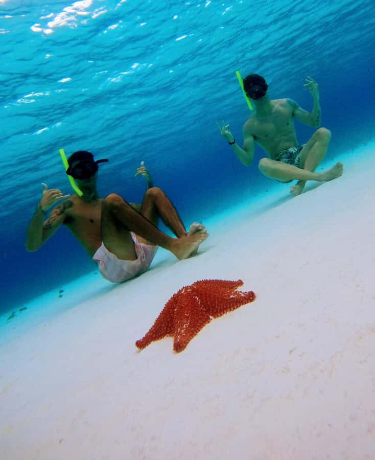 From Cozumel: Starfish, Stingrays & El Cielo Beach Snorkel - Packing Like a Pro: What to Bring and What to Expect in the Water
