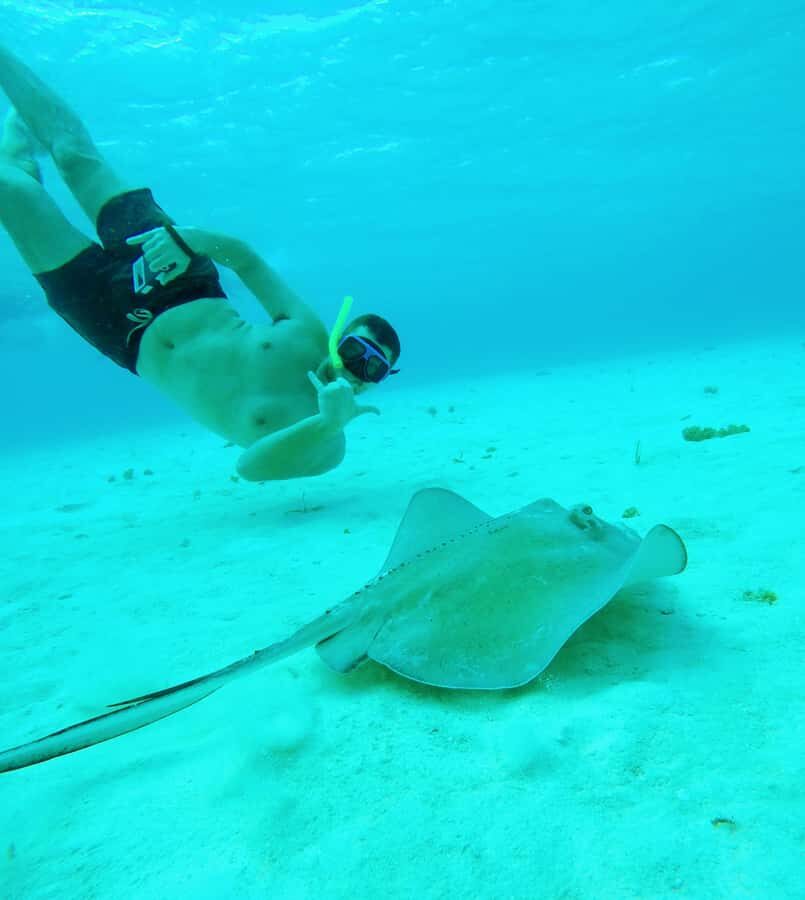 From Cozumel: Starfish, Stingrays & El Cielo Beach Snorkel - El Cielo: Starfish on That White Sandy Bottom