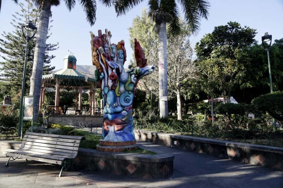 From Guadalajara: Chapala Lake & Ajijic Tour - Birdwatching at Lake Chapala: spotting the famous winged stars