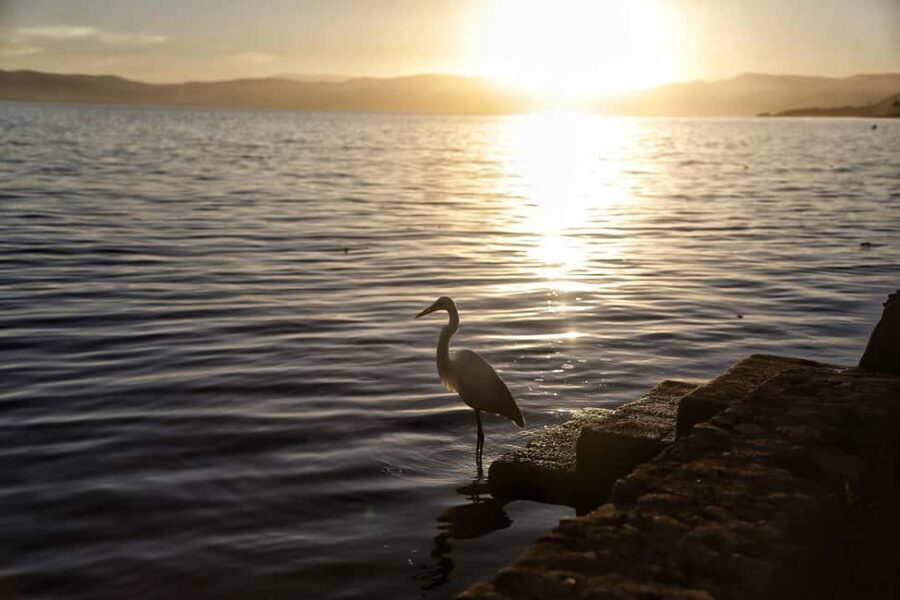From Guadalajara: Chapala Lake & Ajijic Tour - Tienda Charra stop: a quick cultural detour that adds flavor