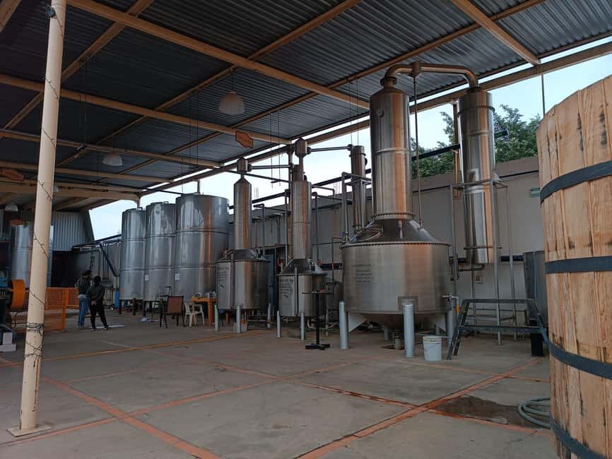 From Guadalajara: Tequila Town and Cantaritos El Guero - Price and Value: Is $42 Fair for a 9-Hour Day?