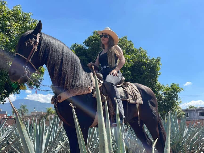 From Guadalajara: Tequila Town and Cantaritos El Guero - A Tequila Day Trip Built Around Agave Fields and Real Tastings