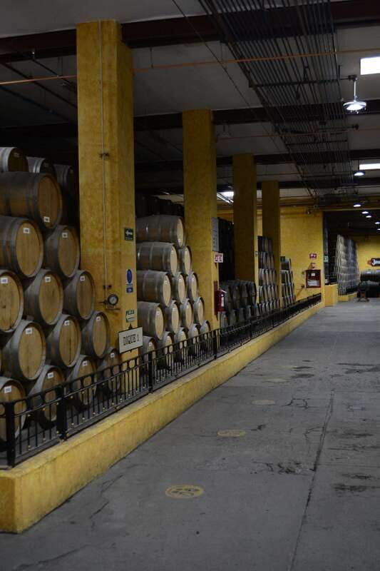 From Guadalajara: Town of Tequila & Jose Cuervo Factory Tour - The pacing: how to use the free time without feeling rushed
