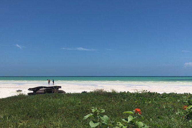 From Holbox to Cancun Private Transportation - Vehicle options and group size: private means not sharing the ride