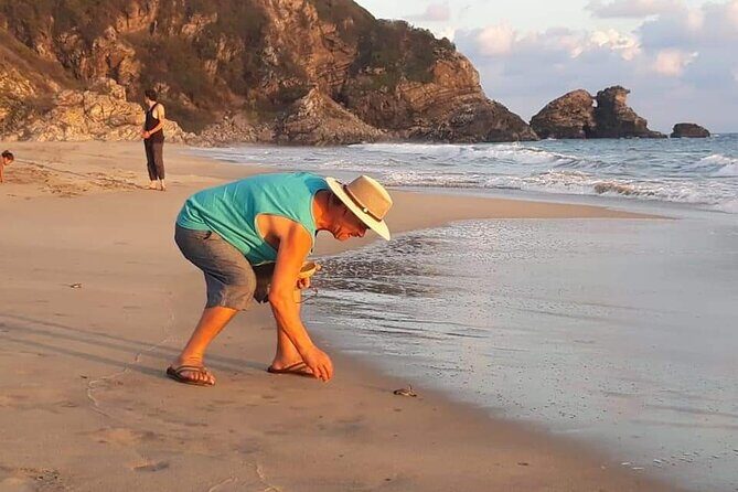 From Huatulco: Turtle Release & Bioluminescence - Manialtepec Lagoon at night: the bioluminescence show you can feel
