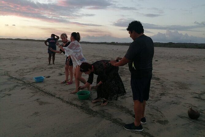 From Huatulco: Turtle Release & Bioluminescence - What to bring so the night swim doesn’t ruin your evening